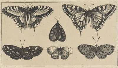 Öt pillangó és egy lepke Különféle rovarok (sorozat címe) Diversae Insectorum (sorozat címe) alkotó: Wenceslaus Hollar