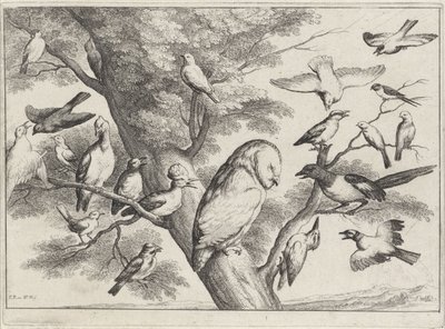 Madarak a fán Különböző madarak (sorozat címe) alkotó: Wenceslaus Hollar