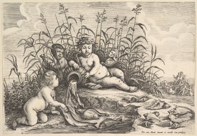 Víz A négy elem, kb. 1647. alkotó: Wenceslaus Hollar