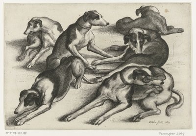 Hat fekvő vadászkutya Vadászat, vadászkutyák és vadak (sorozat címe) alkotó: Wenceslaus Hollar