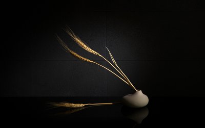 alkotó: Wendy Xu