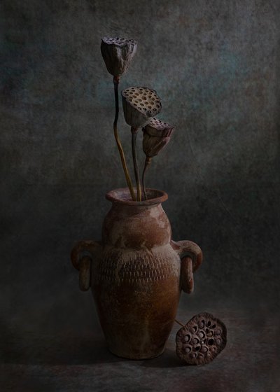  alkotó: Wendy Xu