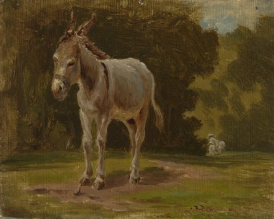 Szamár alkotó: Werner Holmberg