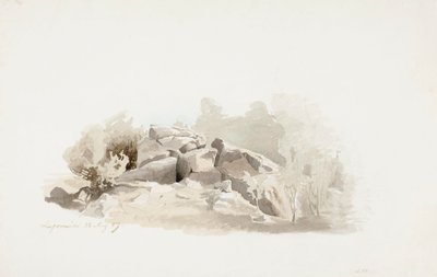 Egy törékeny sziklaperem, bokrokkal körülvéve. alkotó: Werner Holmberg