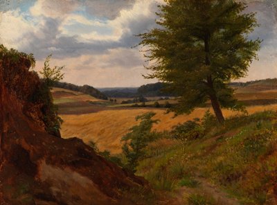 Fa mezős tájban, tanulmány alkotó: Werner Holmberg