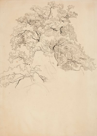 Cím nélkül alkotó: Werner Holmberg