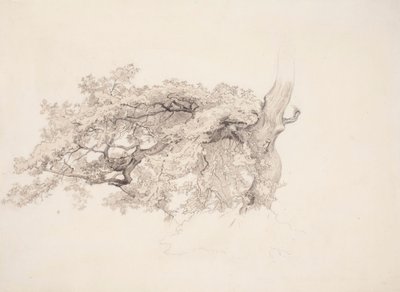 Cím nélkül alkotó: Werner Holmberg