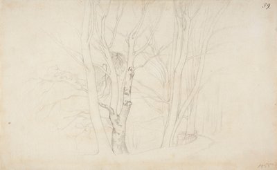Cím nélkül alkotó: Werner Holmberg