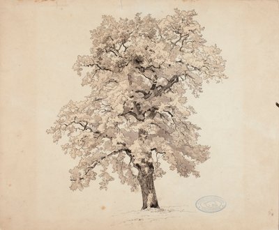 Cím nélkül alkotó: Werner Holmberg