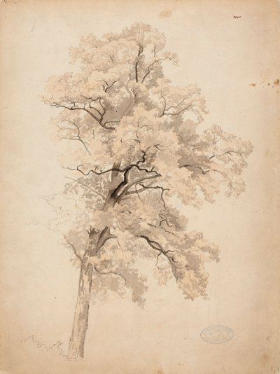Cím nélkül alkotó: Werner Holmberg