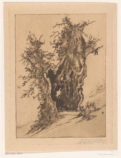Üreges fa Seelisbergben, Svájcban Hollow Tree (eredeti cím) alkotó: Wijnand Otto Jan Nieuwenkamp (signed by artist)