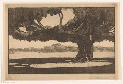 Waringin fák a szultáni palota kertjében Jogyakartában A nagy fa (eredeti cím) alkotó: Wijnand Otto Jan Nieuwenkamp (signed by artist)