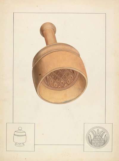 Vajpenész, c. 1937. alkotó: Wilbur M Rice