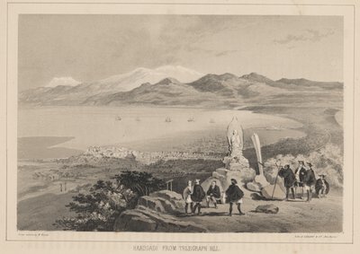 Hakodadi a Telegraph Hillről, 1855 alkotó: Wilhelm Joseph Heine