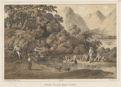 Kanaka falu Bonin-szigetek, 1855 alkotó: Wilhelm Joseph Heine