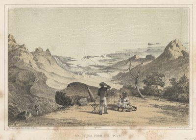 Mauritius a Pouce-ból, 1855 alkotó: Wilhelm Joseph Heine