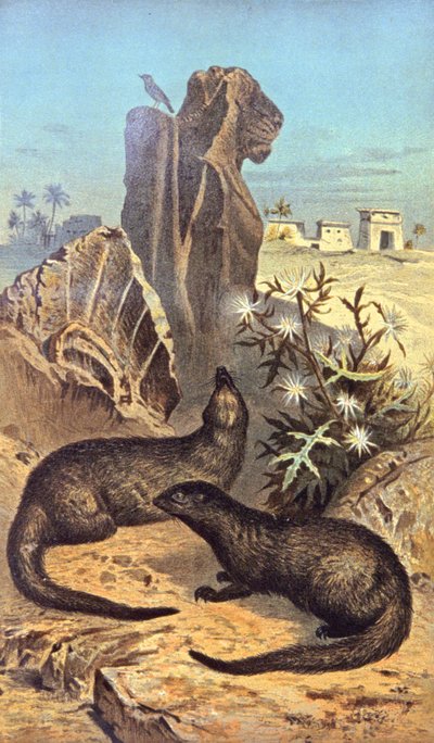 A fáraók patkánya alkotó: Wilhelm Kuhnert