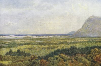 Constantia-völgy és a False Bay, a Cape Point-tal (színes lithó) alkotó: Wilhelm Westhofen
