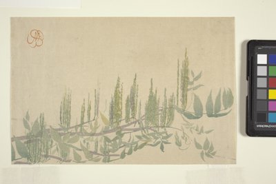 Wisteria, 1908 körül (színes fatömbnyomat) alkotó: Wilhelmina Seegmiller
