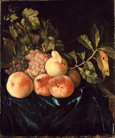 Őszibarack és szőlő csendélet, 1705 alkotó: Willem Frederiksz van Royen