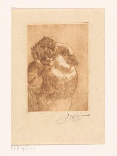 Egy galamb tanulmányozása alkotó: Willem Hendrik Bik (signed by artist)