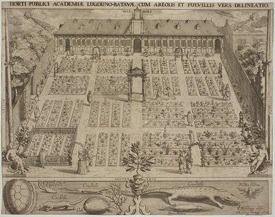 A botanikus kert Leydenben alkotó: Willem Isaaksz Swanenburgh