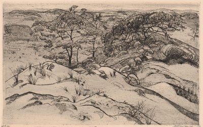 dűne táj alkotó: Willem Jansen (graveur) (signed by artist)