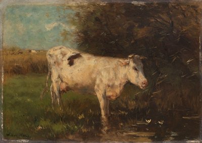 Fehér tehén alkotó: Willem Maris