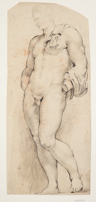 A „Belvedere Antinous” antik szobor eleje félig balra fordult alkotó: Willem Panneels