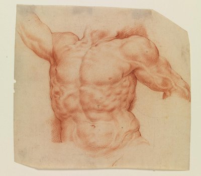 Laocoon törzsének elölnézete alkotó: Willem Panneels