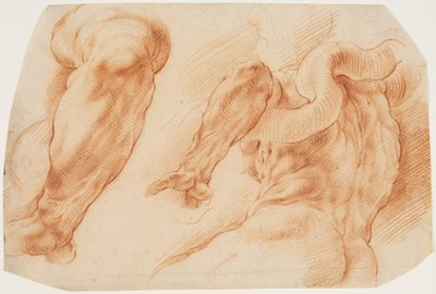 Laocoon. Laocoon bal karjának és törzse hátsó részének tanulmányozása balról és alulról nézve alkotó: Willem Panneels