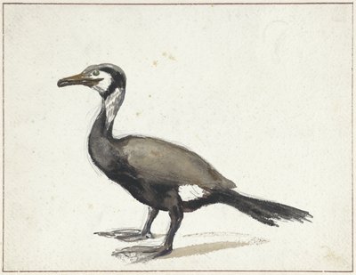 Kormorán alkotó: Willem Roelofs (I)