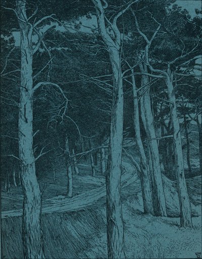 Erdő, 1912 alkotó: Willem Wenckebach