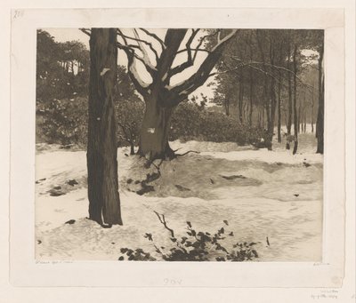 Havas erdei táj Edén alkotó: Willem Witsen (signed by artist)