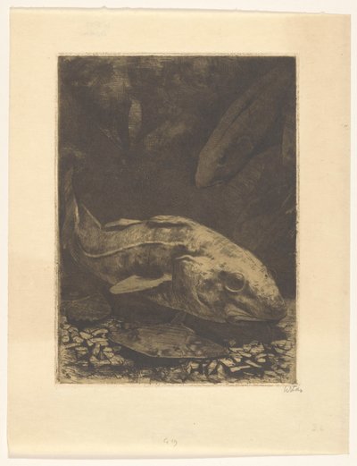 Halak és vízi növények alkotó: Willem Witsen (signed by artist)