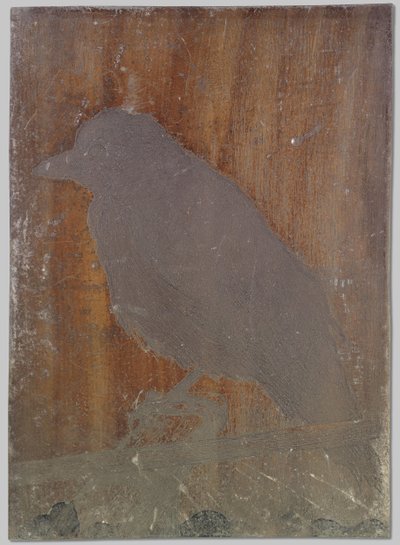 A varjú Ina alkotó: Willem Arnoldus Witsen