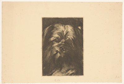 Phoebus kutya alkotó: Willem Arnoldus Witsen