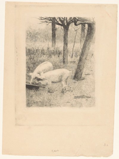 Két disznó egy vályúnál alkotó: Willem Arnoldus Witsen