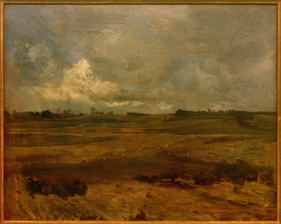 Táj Észak-Brabantban alkotó: Willem van Konijnenburg