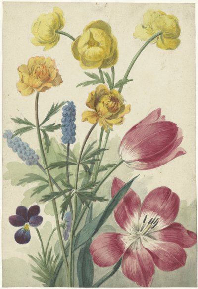 Tulipán, ibolya, szőlő jácint és pöttyös csokor alkotó: Willem van Leen