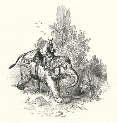 "Abd-El-Kuddoos az elefánton (metszet) alkotó: William (after) Harvey