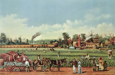  alkotó: William Aiken (after) Walker
