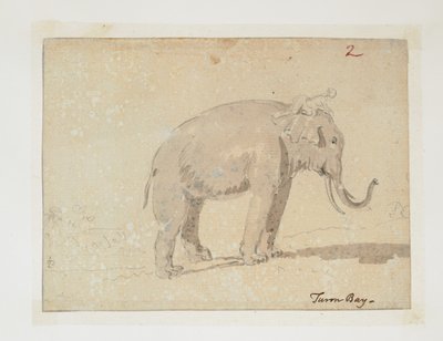 WD 961 f.2 alkotó: William Alexander