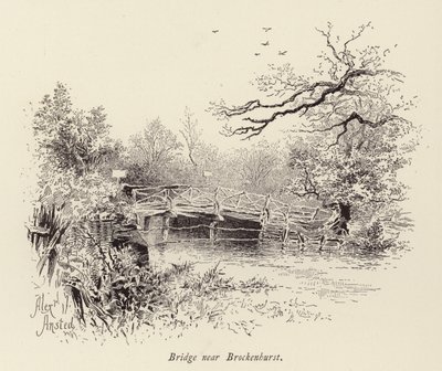Híd Brockenhurst közelében (metszet) alkotó: William Alexander Ansted