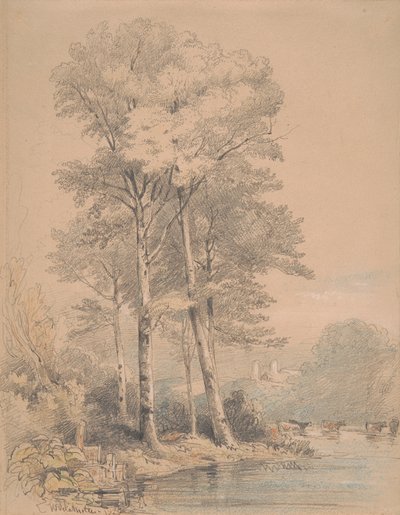 Llandovery kastély, Dél-Wales alkotó: William Alfred Delamotte