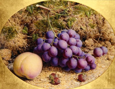Szőlő és őszibarack mohás parton (akvarell papíron) alkotó: William B. Hough