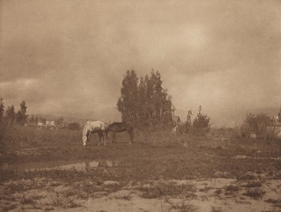 Pasadena táj alkotó: William B. Post