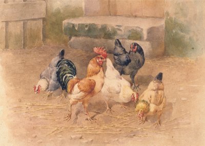 Csirkék (akvarell testfestékkel papíron) alkotó: William Baptiste Baird