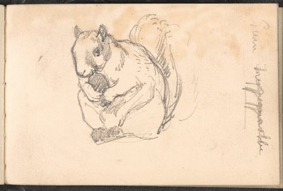 Vázlat egy mókusról, 1879 körül alkotó: William Barnes Wollen