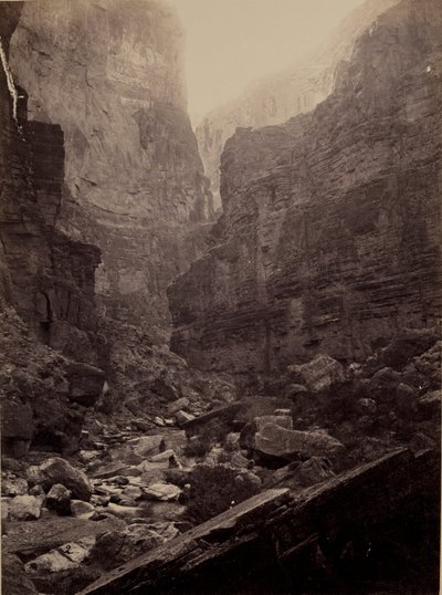 Canon of Kanab Wash, Colorado River, Északra néz alkotó: William Bell